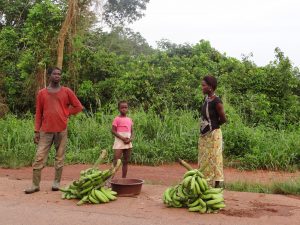 Selling_Bananas_by_the_road_in_Côte_d'Ivoire_(2)